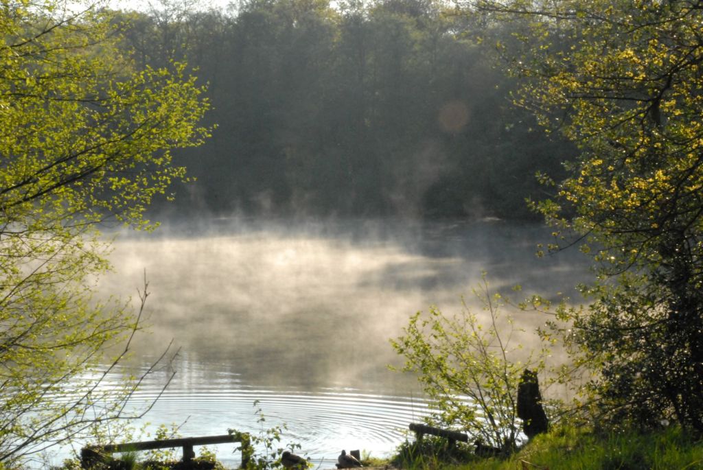 انجيل تندرستی و&nbsp;کاميابی