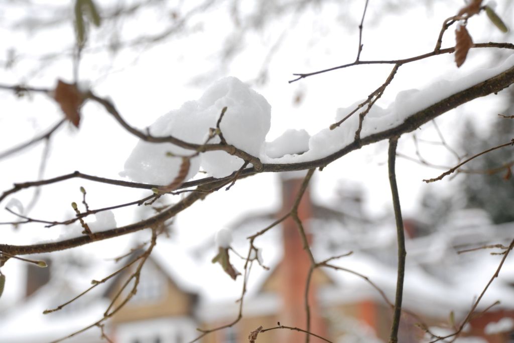 لب چشمۀ درون